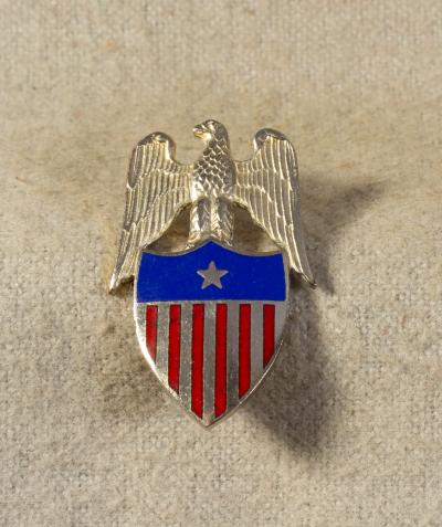 Army Brigadier General Aide Insignia