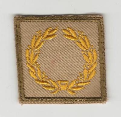 WWII Meritorious Unit Award Khaki Variation