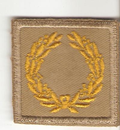 WWII Meritorious Unit Award Khaki Variation