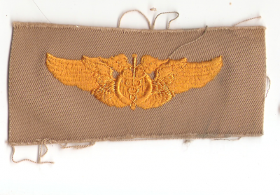 WWII AAF Flight Surgeon Wing Insignia