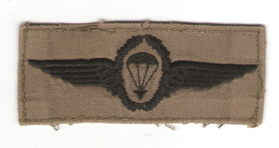 German Paratrooper Parachutist Jump Wings Badge