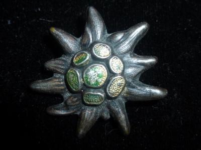 WWII German Edelweiss Pin