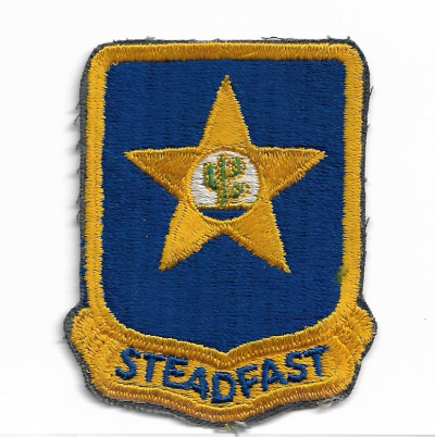 Pocket Patch 409th Infantry Regiment