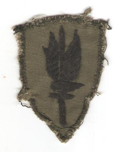 Patch 1st Aviation Brigade Theater Made