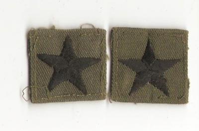 Brigadier General Rank Insignia Subdued