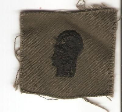 Vietnam WAC Collar Insignia Patch Subdued