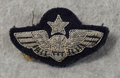 USAF Senior Navigator Bullion Wing