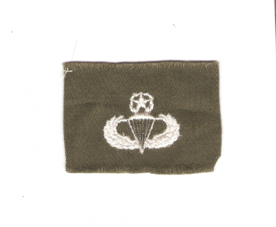 Master Paratrooper Jump Wing Badge Vietnam Era