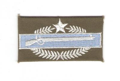 CIB Combat Infantry Badge 2nd Award Theater Error