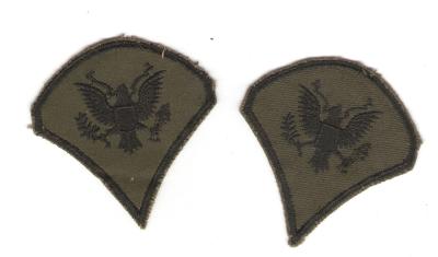 Vietnam Era Specialist Rank Subdued