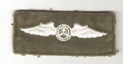 CAP Civil Air Patrol Pilot Wing