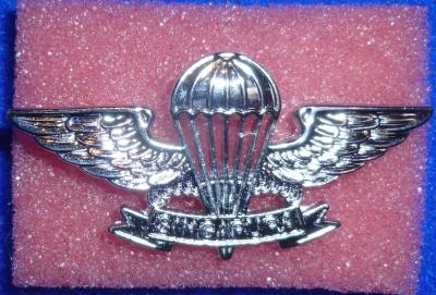 Singapore Jump Wing Badge