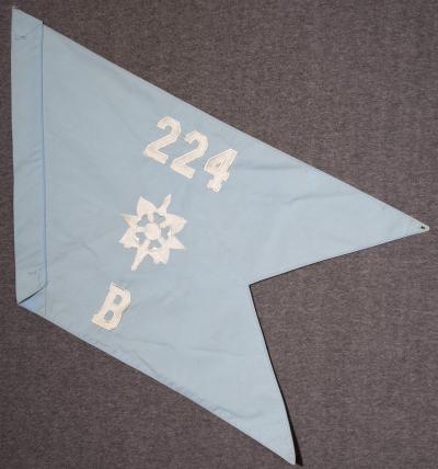 Guidon 224th Military Intelligence MI Battalion  