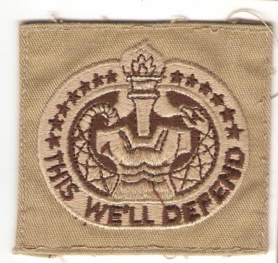 Desert DCU Subdued Drill Instructor Badge Patch