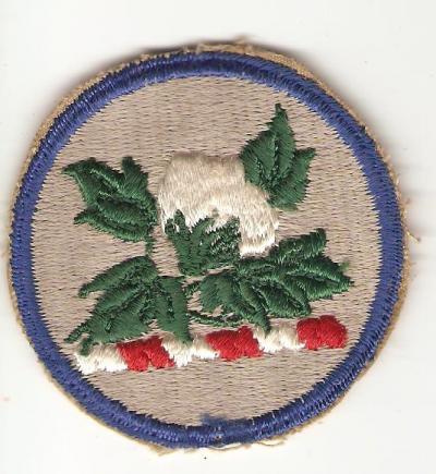 Army Alabama National Guard Patch