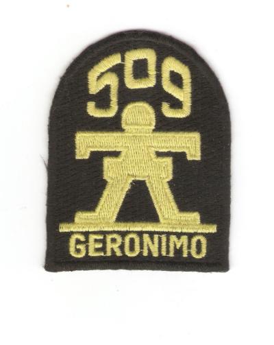 Patch 509th Airborne Infantry