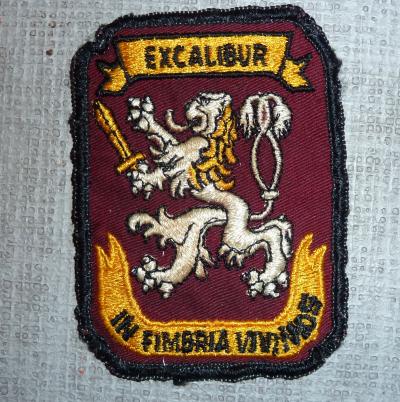 Excalibur In Fimbria Vivimos Patch