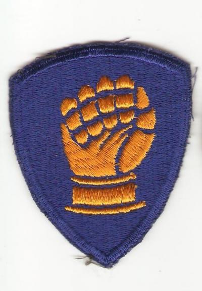 US Army 46th Division Patch