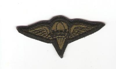 US Army Rigger Badge Subdued Patch