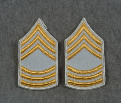 US Army Master Sergeant Rank Female