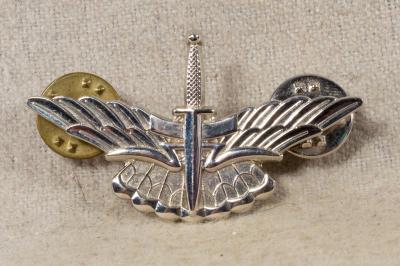 US Army Basic HALO Freefall Parachutist Badge