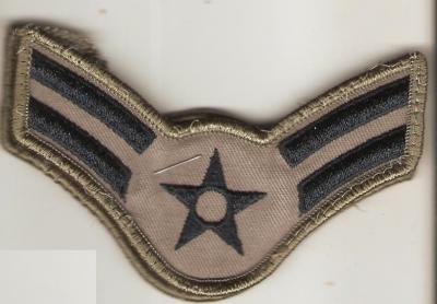 USAF Airman 1st Class Rank Pair Utility 