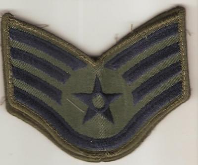 USAF Staff Sergeant Rank Pair Utility 