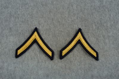 US Army ASU Private Rank Pair