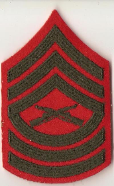 USMC Marine Master Sergeant Rank Male New