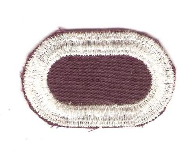 Patch Oval 8th Medical Battalion