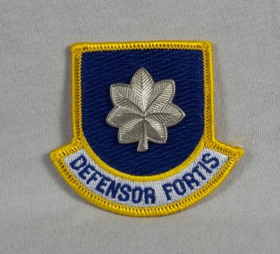 Air Force Security Forces Beret Flash