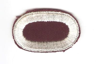 Airborne Oval 8th Medical Battalion