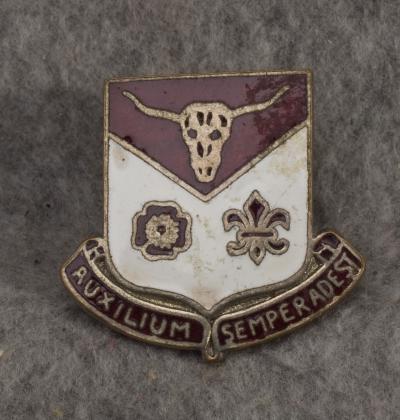 DUI DI Crest 112th Medical Brigade Screwback 