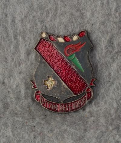 DUI DI Crest 327th Medical Battalion German Made