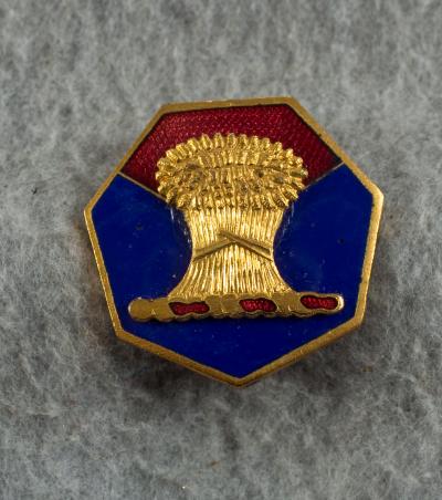 DUI Crest Pin 34th Replacement Company