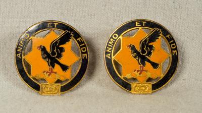 DUI DI Crest 1st Cavalry Regiment Pair Screw Bback