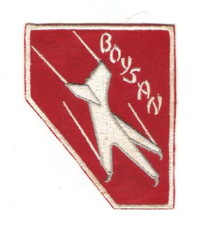 USAF 97th FTS Boysan Flight Patch