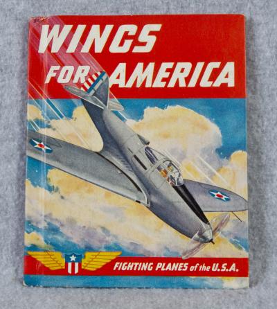 Wings for America Fighting Planes of the USA Book