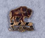 DUI DI Crest 10th Cavalry 