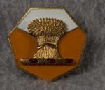 DUI DI Crest 34th Signal Company 