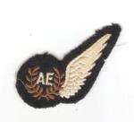 RAF Air Electronics AE Half Wing