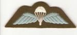 British Paratrooper Jump Wing