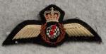 Canadian Air Force Wings Badge Flight Navigator