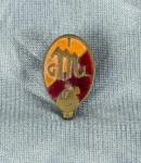 Italian Fascist Youth Member Pin GIL