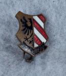 German Nurnberg Pin