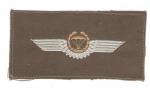 German Paratrooper Jump Wings