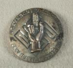 Bavaria Ostmark Oath Of Allegiance Badge 1934