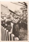 WWII German Press Photo Iron Cross Award Ceremony