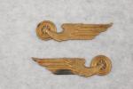 German Reichsbahn Collar Tab Cypher Pair