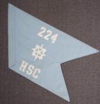 Guidon Headquarters Support Company 224th MI Bn